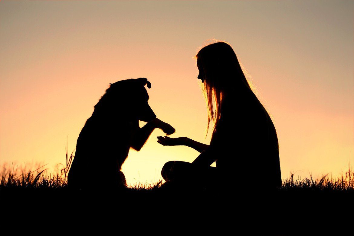 human and dog in a sunset
