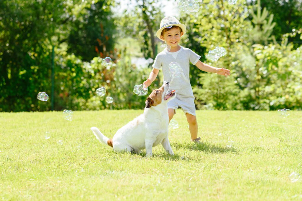Happy kid and pet dog playing with soap bubbles at backyard lawn