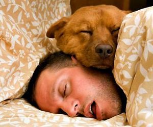 Man laying in bed with a dog laying on top of his head